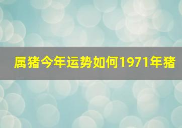 属猪今年运势如何1971年猪