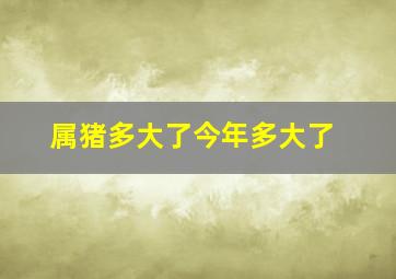 属猪多大了今年多大了