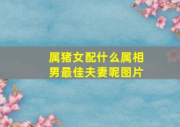 属猪女配什么属相男最佳夫妻呢图片