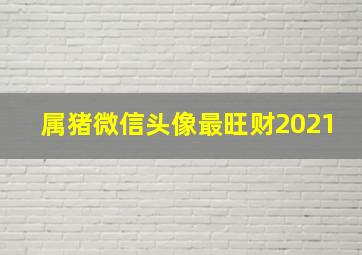 属猪微信头像最旺财2021