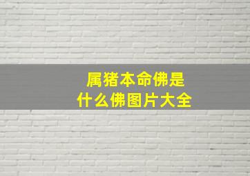 属猪本命佛是什么佛图片大全