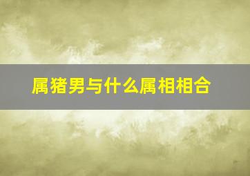 属猪男与什么属相相合