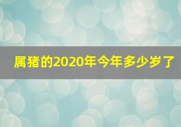 属猪的2020年今年多少岁了