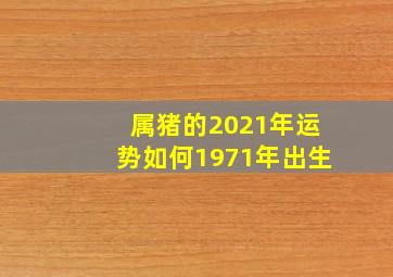 属猪的2021年运势如何1971年出生