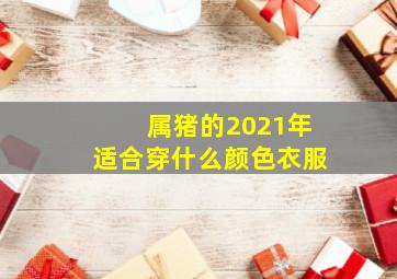 属猪的2021年适合穿什么颜色衣服