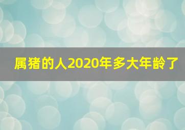 属猪的人2020年多大年龄了