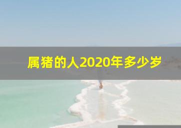 属猪的人2020年多少岁