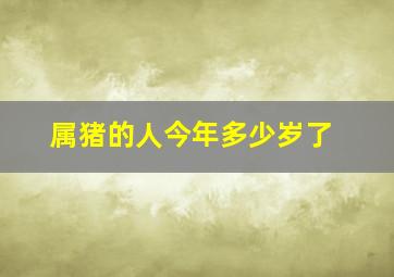 属猪的人今年多少岁了