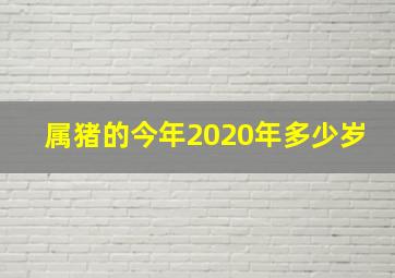 属猪的今年2020年多少岁