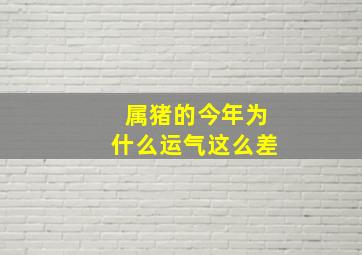 属猪的今年为什么运气这么差