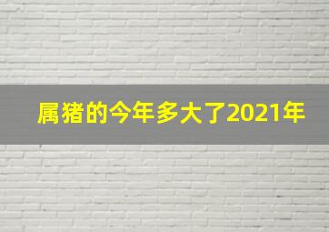 属猪的今年多大了2021年