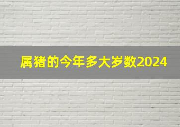 属猪的今年多大岁数2024