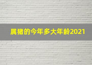 属猪的今年多大年龄2021