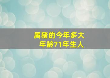 属猪的今年多大年龄71年生人