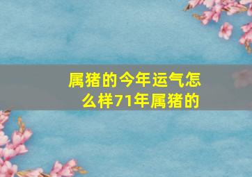 属猪的今年运气怎么样71年属猪的