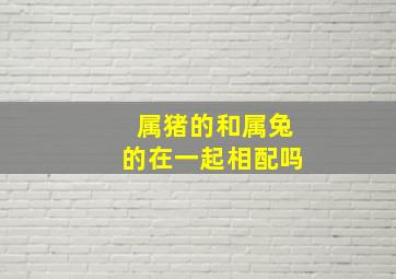 属猪的和属兔的在一起相配吗