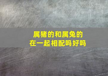 属猪的和属兔的在一起相配吗好吗