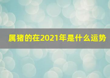 属猪的在2021年是什么运势