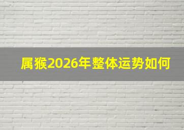 属猴2026年整体运势如何