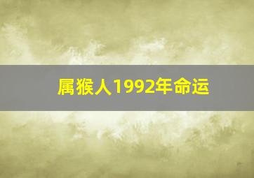 属猴人1992年命运