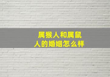 属猴人和属鼠人的婚姻怎么样