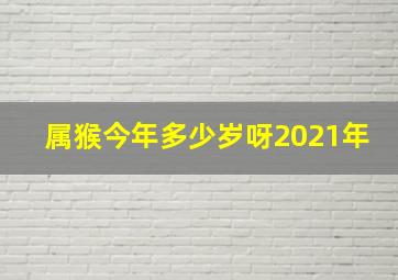 属猴今年多少岁呀2021年