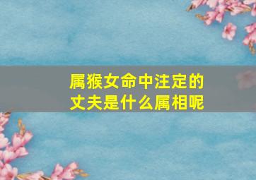 属猴女命中注定的丈夫是什么属相呢