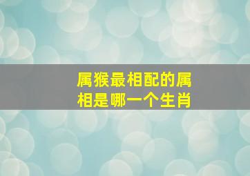 属猴最相配的属相是哪一个生肖