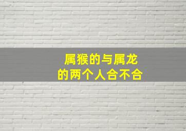 属猴的与属龙的两个人合不合