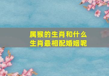 属猴的生肖和什么生肖最相配婚姻呢