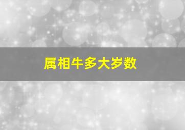 属相牛多大岁数