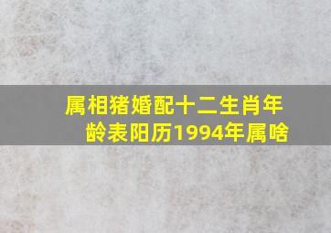 属相猪婚配十二生肖年龄表阳历1994年属啥