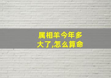 属相羊今年多大了,怎么算命