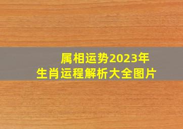 属相运势2023年生肖运程解析大全图片