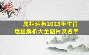 属相运势2023年生肖运程解析大全图片及名字