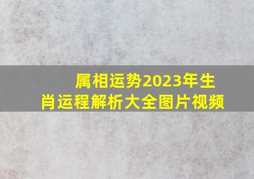 属相运势2023年生肖运程解析大全图片视频