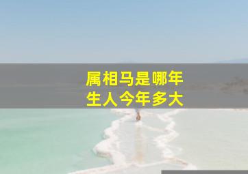 属相马是哪年生人今年多大