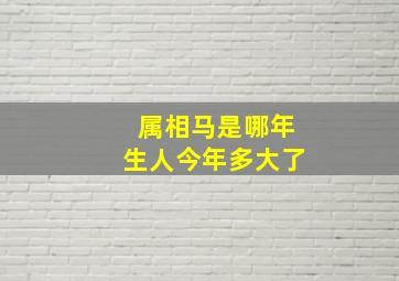 属相马是哪年生人今年多大了