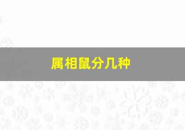 属相鼠分几种