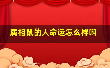 属相鼠的人命运怎么样啊