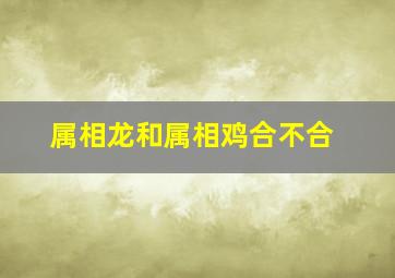 属相龙和属相鸡合不合