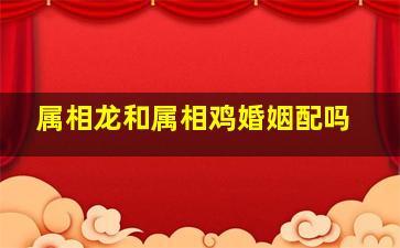 属相龙和属相鸡婚姻配吗