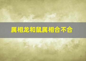 属相龙和鼠属相合不合