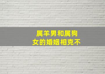 属羊男和属狗女的婚姻相克不