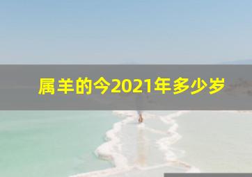 属羊的今2021年多少岁