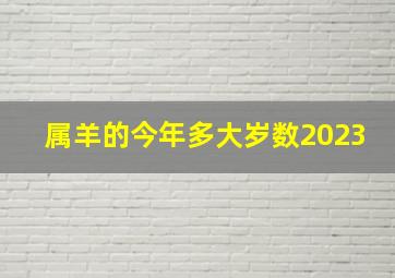 属羊的今年多大岁数2023