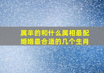 属羊的和什么属相最配婚姻最合适的几个生肖