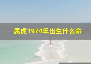 属虎1974年出生什么命