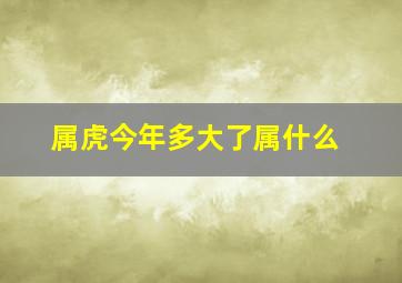 属虎今年多大了属什么