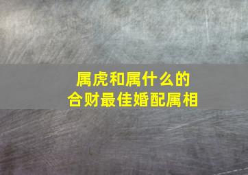 属虎和属什么的合财最佳婚配属相